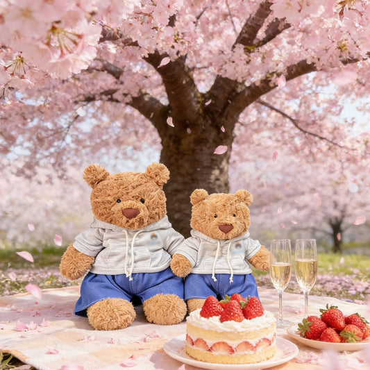 Bartholomew bear cute clothes outfits - Grey Cat Hoodie Set