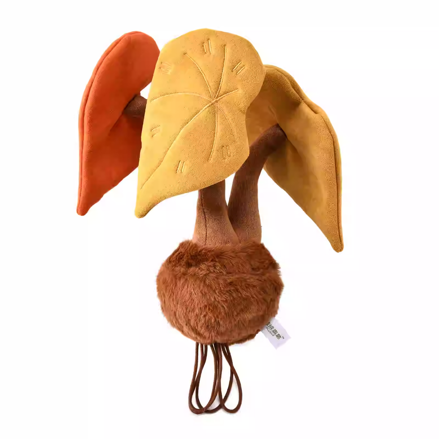 Plushf - Begonia cathayana Hemsl. plant plush