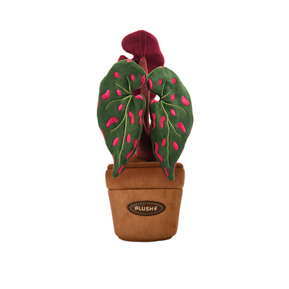 Plushf - Begonia grandis plant plush