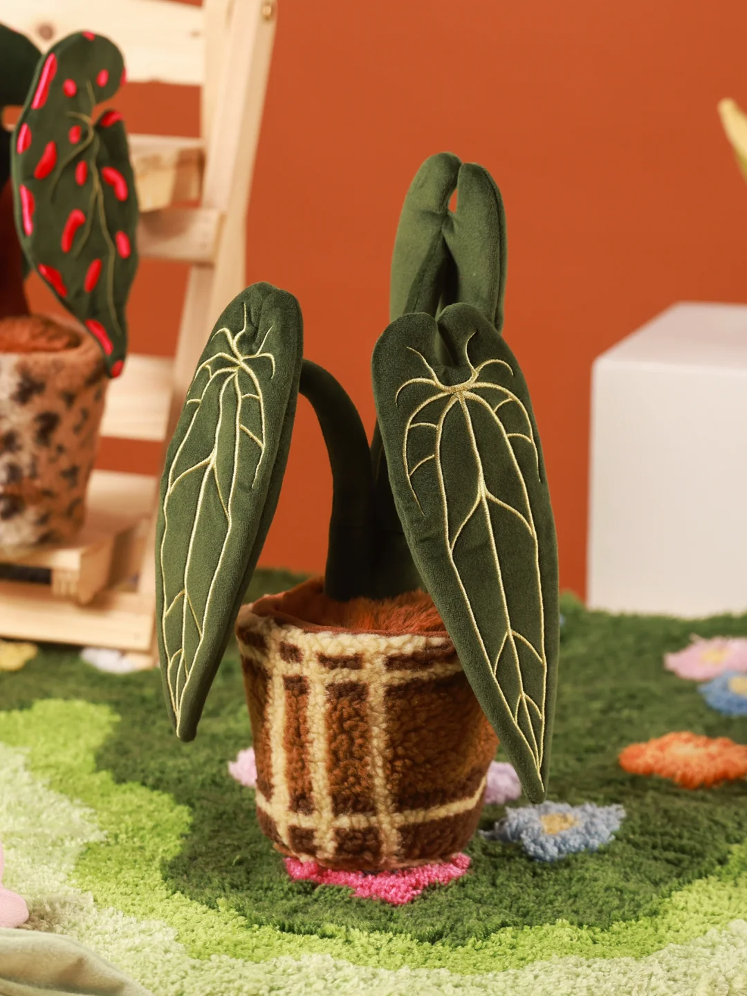 Plushf - Anthurium Warocqueanum plant plush