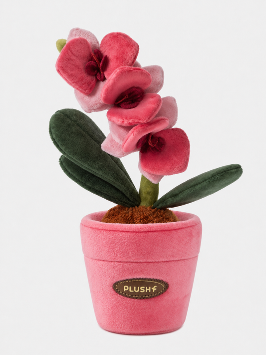 PlushWoods - Phalaenopsis 'Rose Red' Plant Plush
