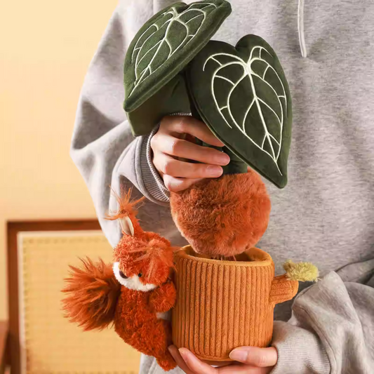 Plushf - Anthurium clarinervium plant plush