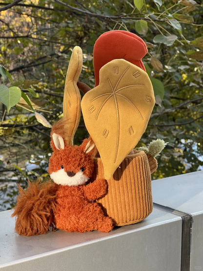 Plushf - Begonia cathayana Hemsl. plant plush