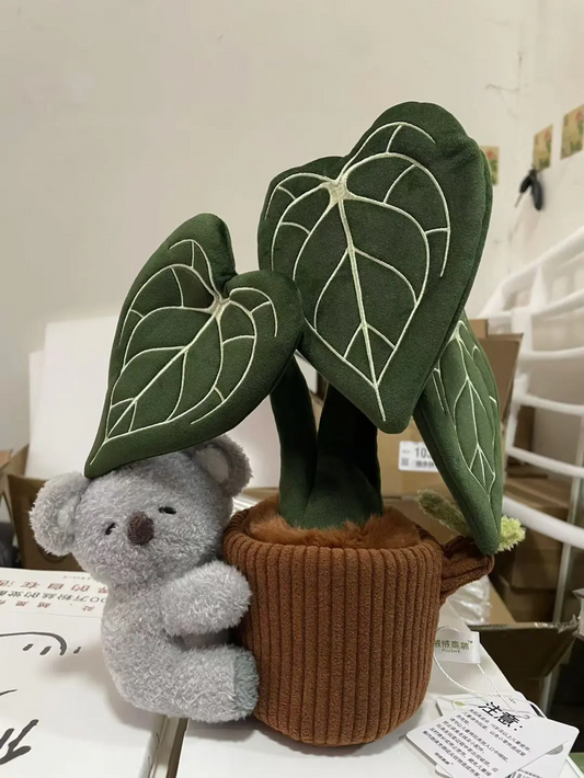 Plushf - Anthurium clarinervium plant plush