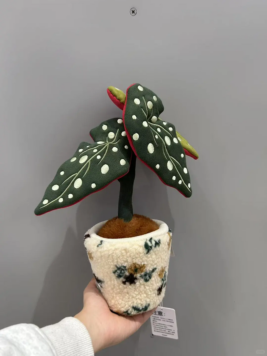 Plushf - Begonia maculata plant plush