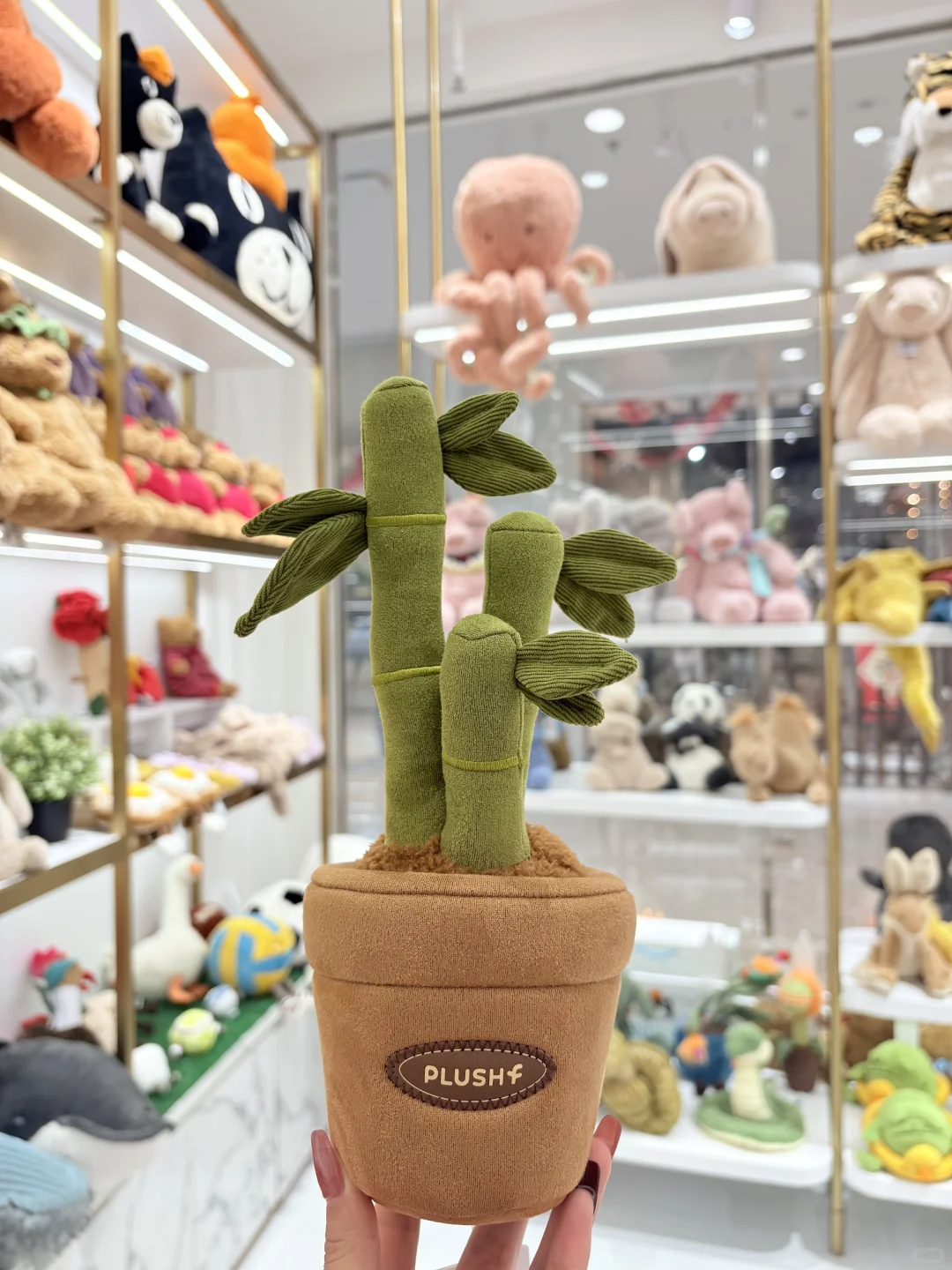 Plushf - Dracaena sanderiana(Lucky bamboo) plant plush