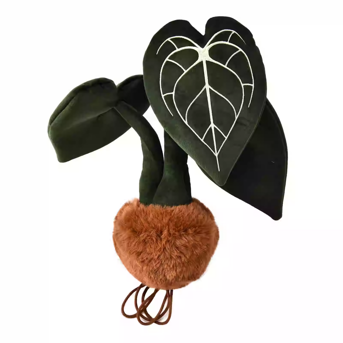 Plushf - Anthurium clarinervium plant plush