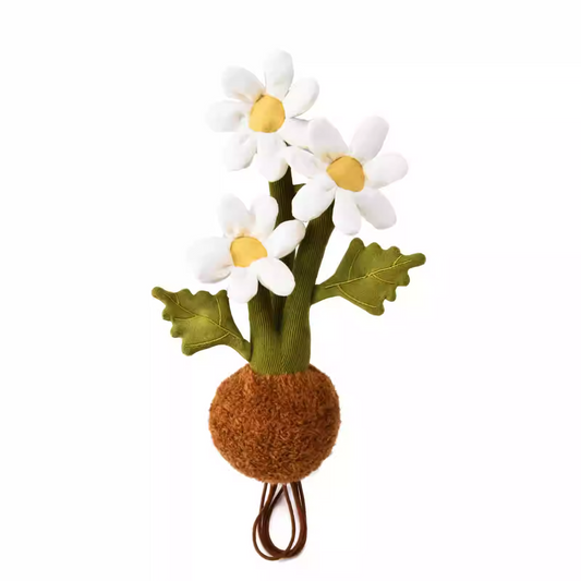 Plushf - Bellium minutum L. plant plush