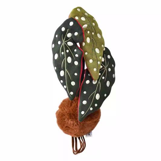 Plushf - Begonia maculata plant plush