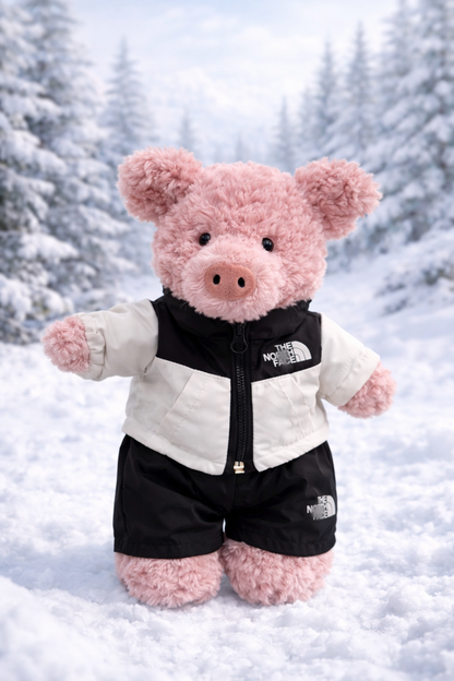 Bartholomew bear cute clothes outfits - TNF Winter Puffer Jacket Outfit Set