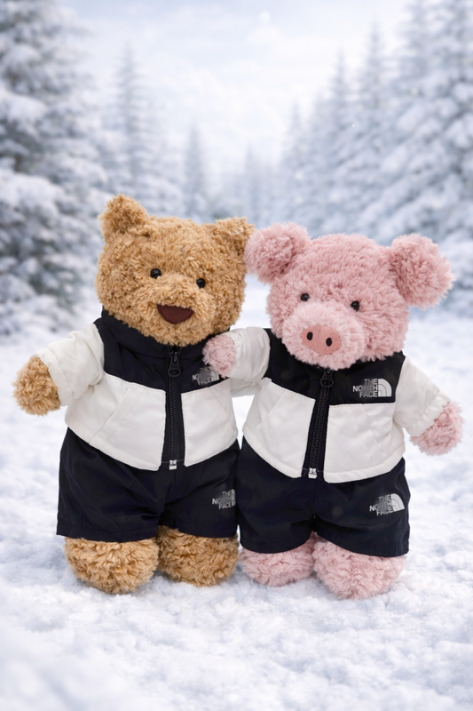 Bartholomew bear cute clothes outfits - TNF Winter Puffer Jacket Outfit Set