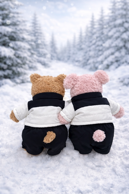 Bartholomew bear cute clothes outfits - TNF Winter Puffer Jacket Outfit Set