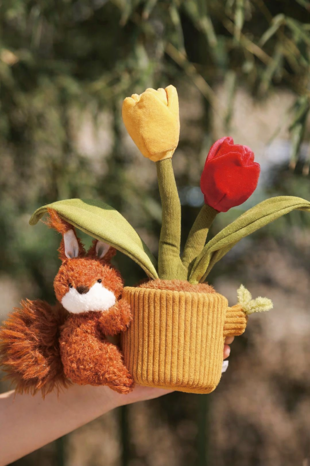 PlushWoods - Tulipa x hybrida Flowers Plant Plush