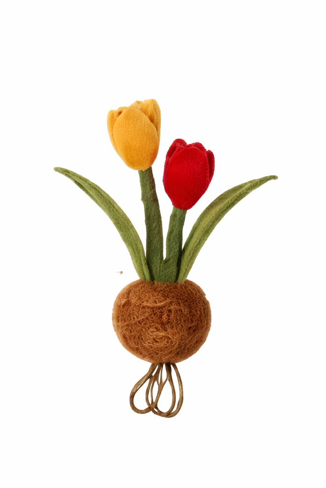 PlushWoods - Tulipa x hybrida Flowers Plant Plush